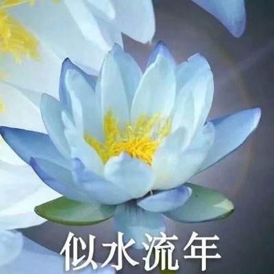 星祈恋人游戏