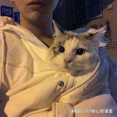 大主宰之剑破苍穹手游下载